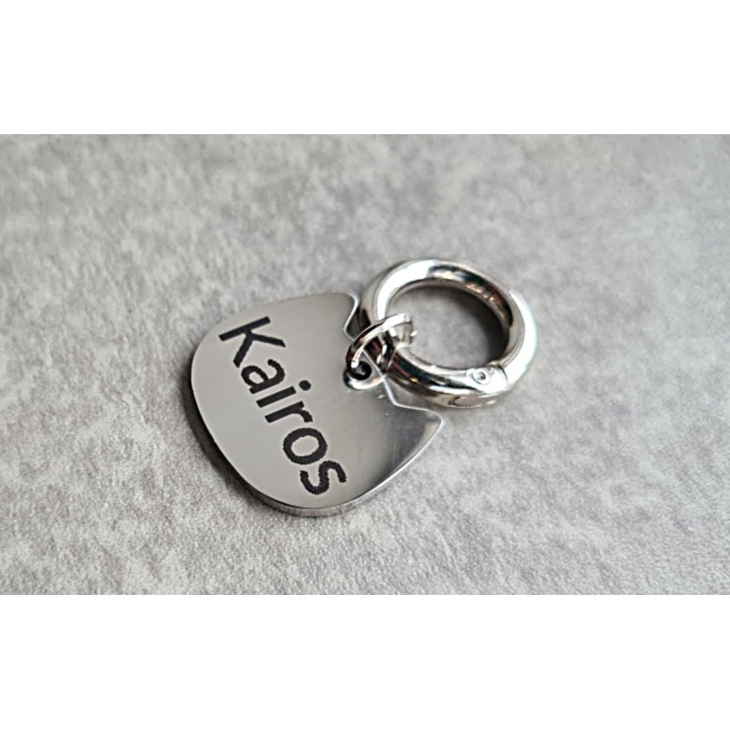 Personalizowana adresówka dla kota