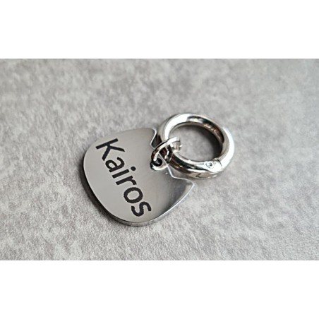 Personalizowana adresówka dla kota