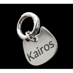 Personalizowana adresówka dla kota